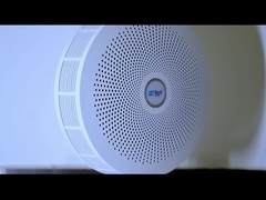 Z06C-VIDEO Principale