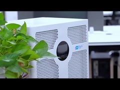 D03A メインビデオ