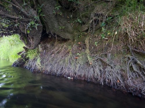 Китай последние новости о Взвешенные частицы от эрозии рек: понимание их влияния на качество воздуха и необходимость очистителей воздуха