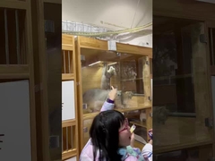 Aire más limpio, mascotas más felices: El purificador de Berk ofrece