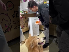 Không khí được chấp thuận cho thú cưng: Máy làm sạch Berk giữ cho nhà của bạn tươi!